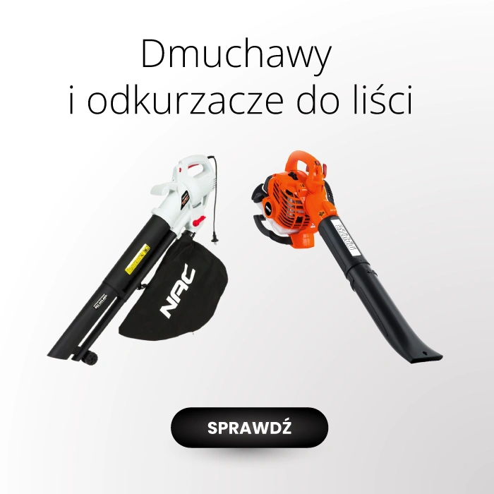 PROMOCJE